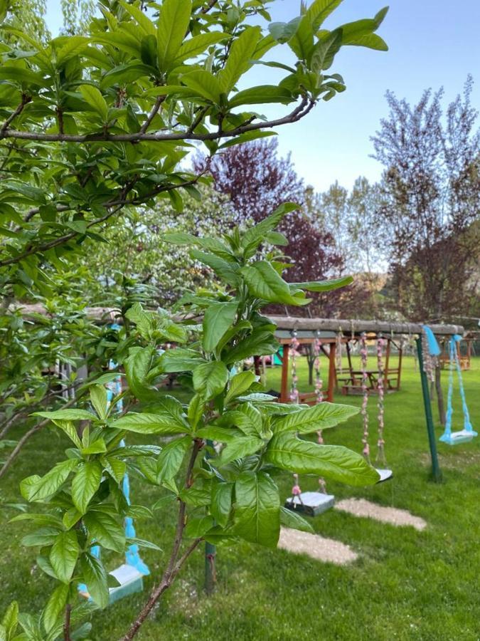 Abant Yesil Vadi Koc Pansiyon Dereceören Εξωτερικό φωτογραφία