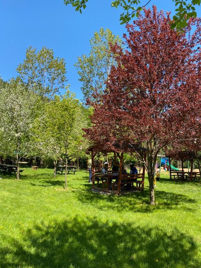 Abant Yesil Vadi Koc Pansiyon Dereceören Εξωτερικό φωτογραφία