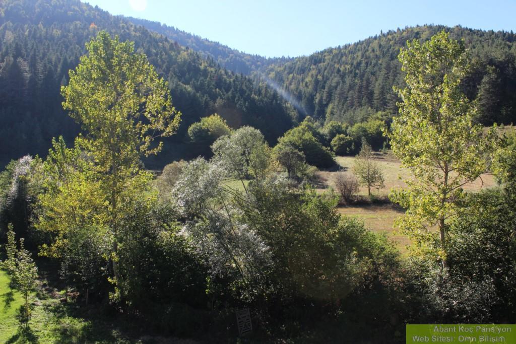 Abant Yesil Vadi Koc Pansiyon Dereceören Εξωτερικό φωτογραφία